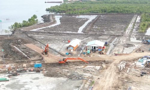 PEKERJAAN LAND CLEARING DAN STRIPPING TOP SOIL 2